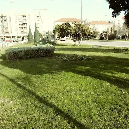 Jazine1