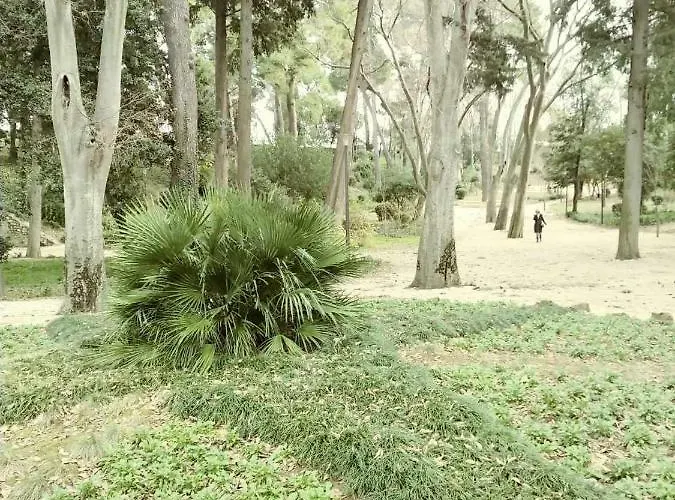 Jazine1 * Задар